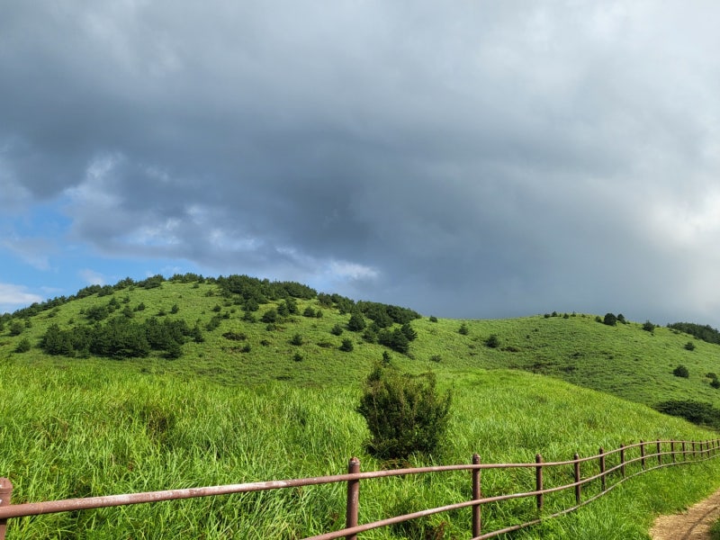 Jeju Yongnuni Oreum: Duration, Pet-Friendly Information, and Entrance Fees