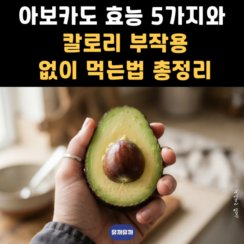 아보카도 효능 5가지와 칼로리 부작용 없이 먹는법 총정리