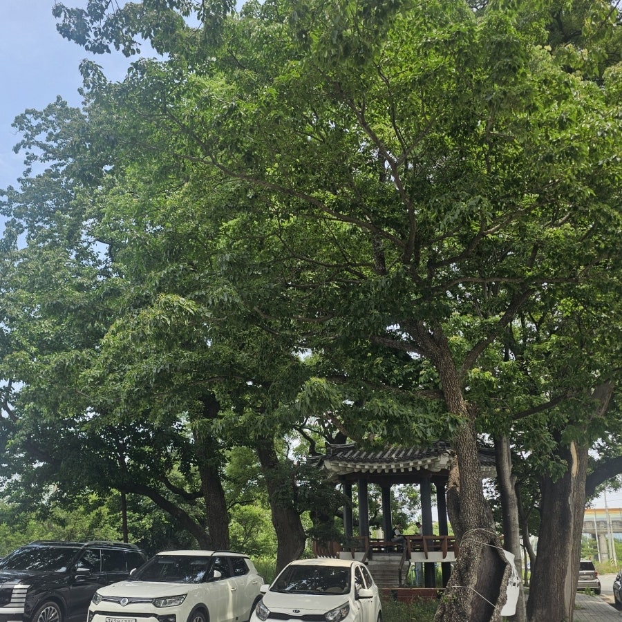 삼동소바 포항점 사진 3