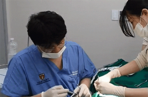 어금니 충치 초기 신호, 어금니 통증 약 대신 어금니 크라운 비용까지 알아보기