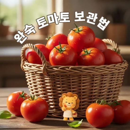 완숙토마토 보관법 신선함과 맛을 오래 유지하는 꿀팁