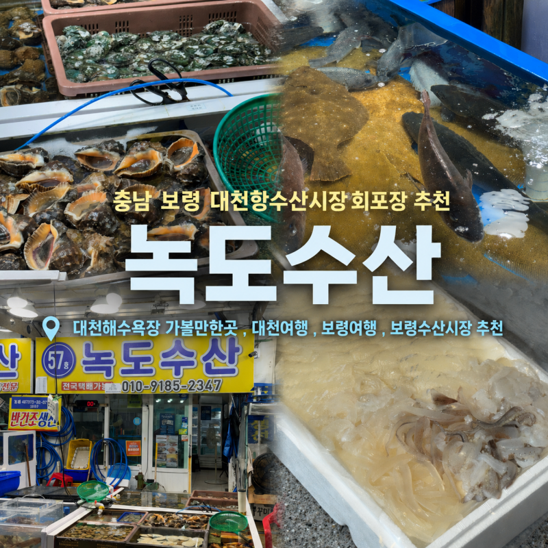 [충남]보령 대천항수산시장 맛집 녹도수산 회포장 후기 찰광어, 제철 오징어회 대천여행 코....