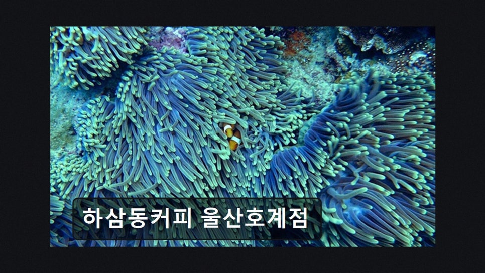 하삼동커피 울산염포점 사진 3