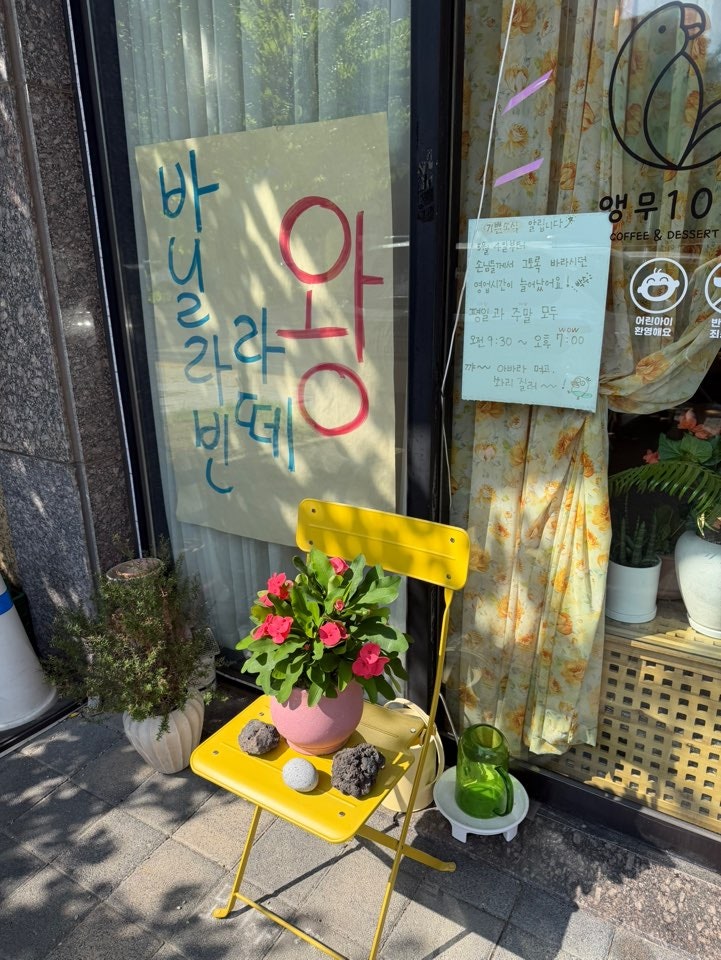 앵무101 사진 3