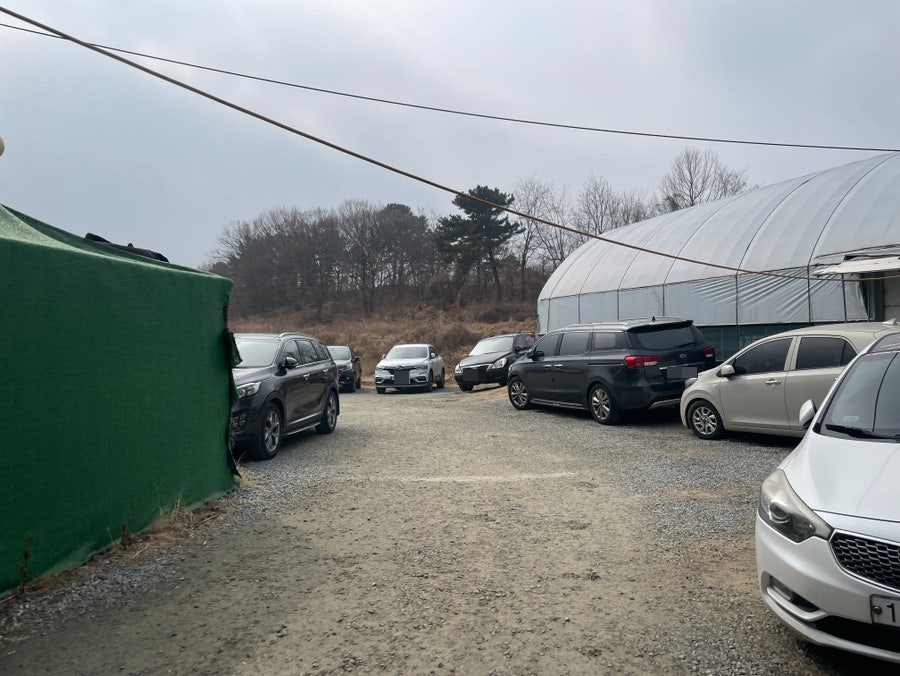 왕궁중화요리 사진 6