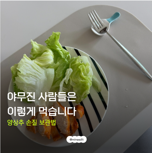 양상추 손질 보관법, 씻자마자 시든다면? 아삭하게 오래 보관하기
