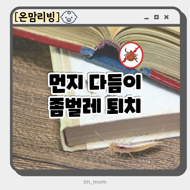 책 좀벌레 먼지다듬이 원인과 알 퇴치법