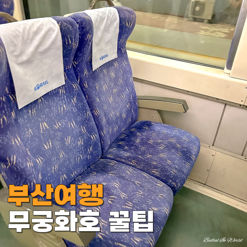 부산 기차여행 무궁화호 예매 좌석 콘센트 꿀팁 총정리