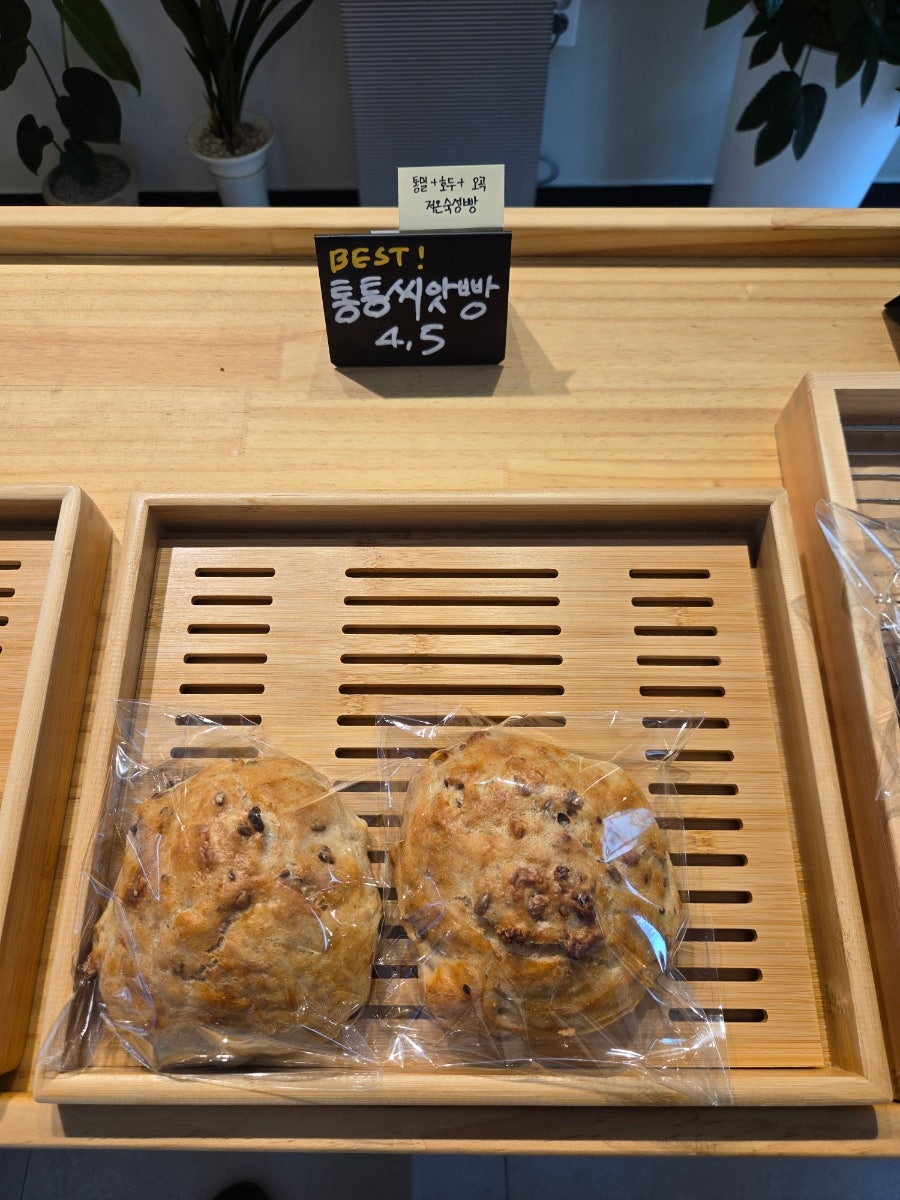 멜리브 사진 5