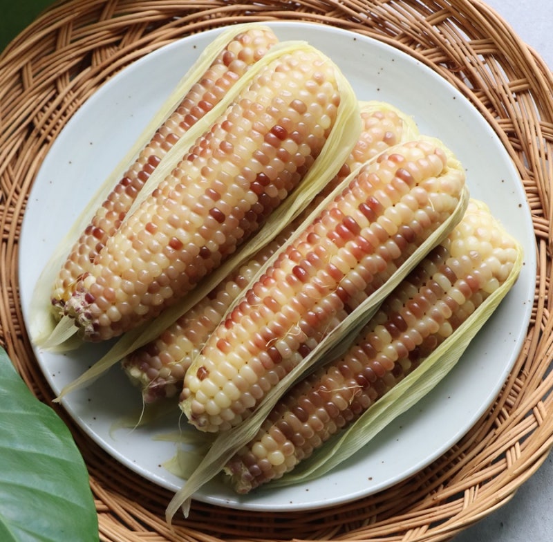 옥수수 삶는법 압력솥 찰옥수수 삶는 시간