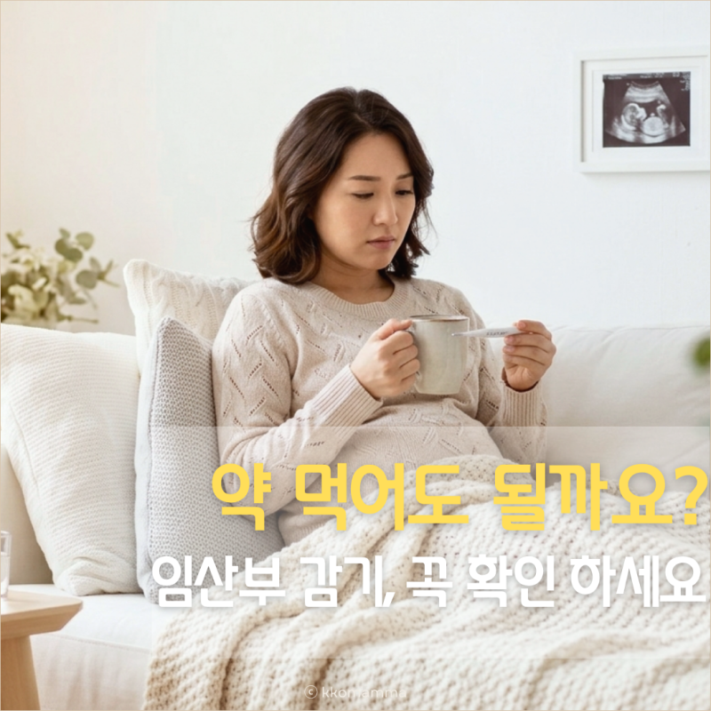 임산부 감기, 약 먹어도 될까? 꼭 확인하세요