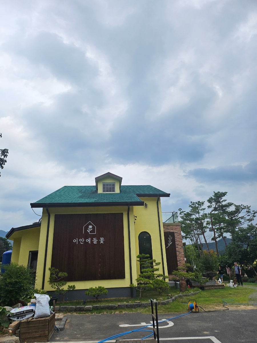 이안에들꽃 사진 5