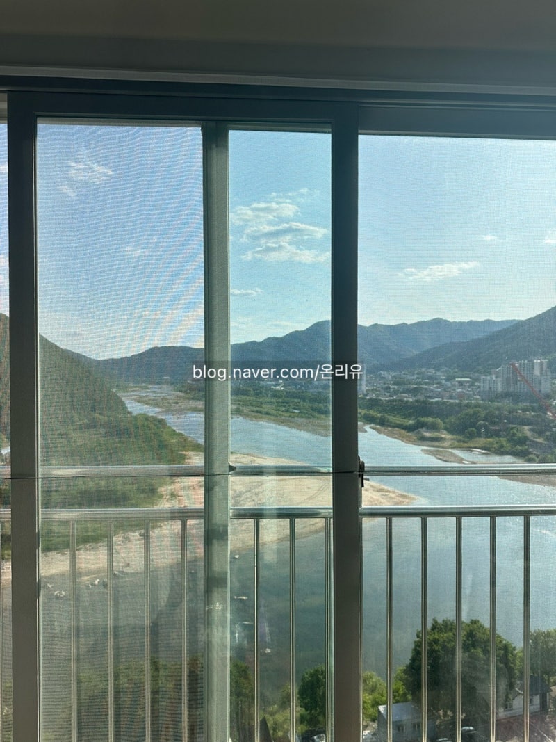 관사에서 살아남기 (ง •̀_•́)ง | 작전명 : 벌레와의 전쟁 ๑꒪﹏꒪๑ | 내돈내산으로 해....