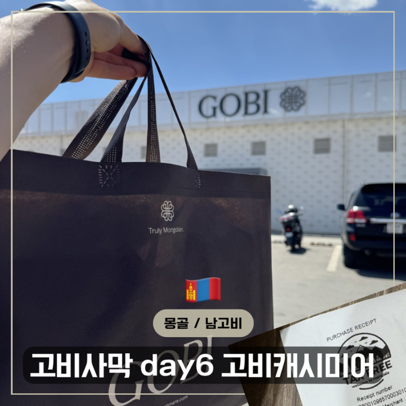 몽골 고비캐시미어 쇼핑 총정리 | 매장 가격, 할인 꿀팁, 텍스리펀 방법까지