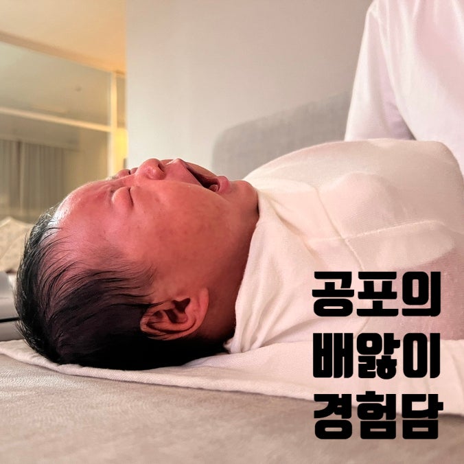 신생아 배앓이 언제 끝날까? 증상부터 대처법까지 직접 겪어본 경험담｜젖병·분유·유산균 ....