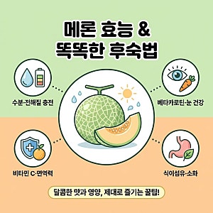 메론 효능과 올바른 보관법, 실패 없는 후숙 타이밍 맞추기