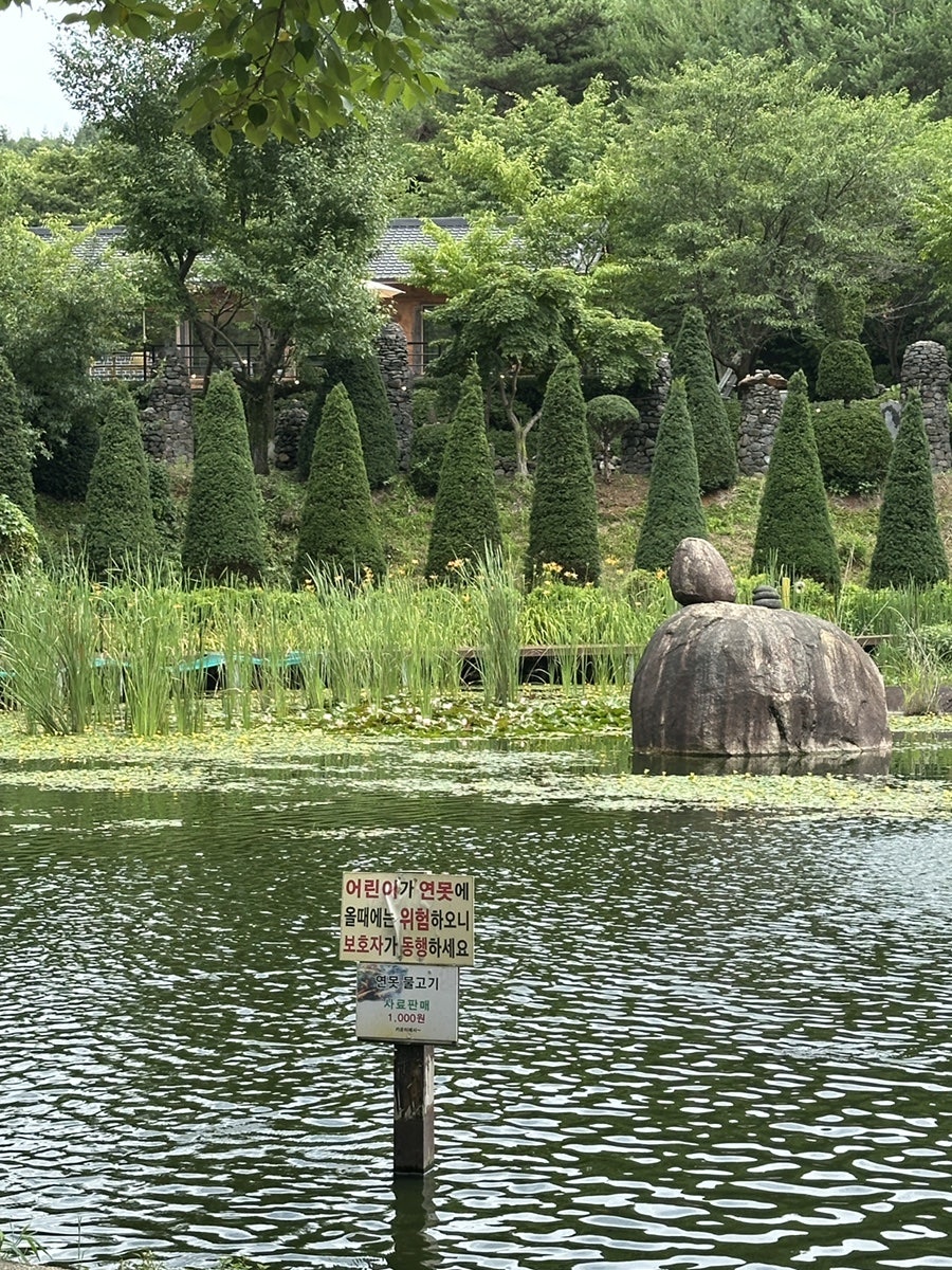 벚골도토리막국수 사진 6