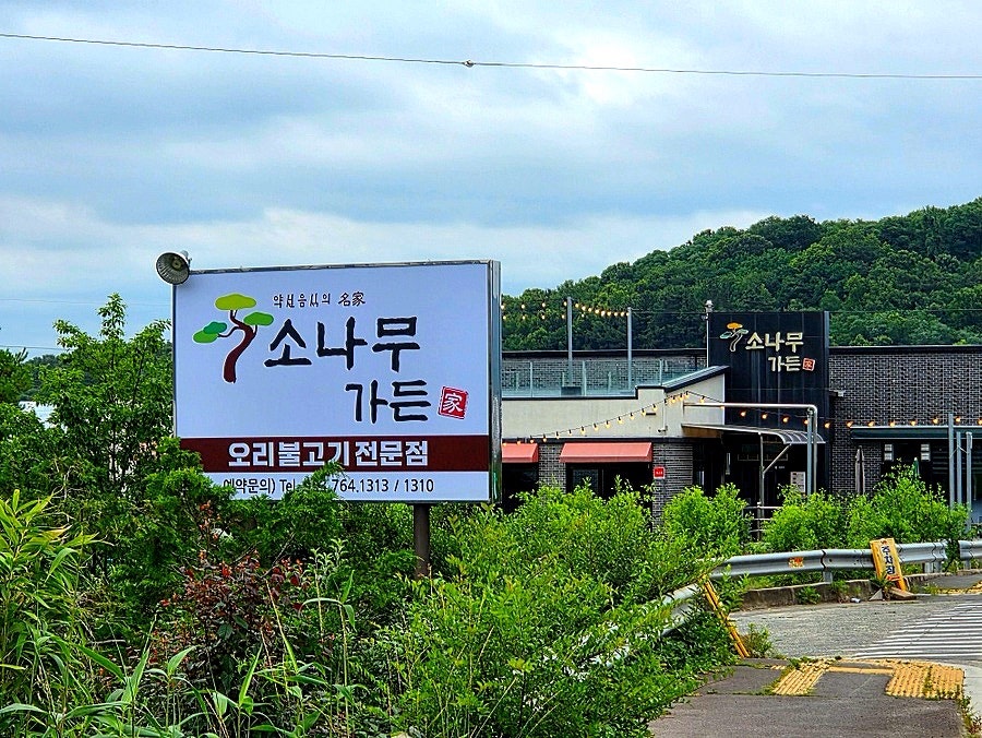 소나무가든 사진 2