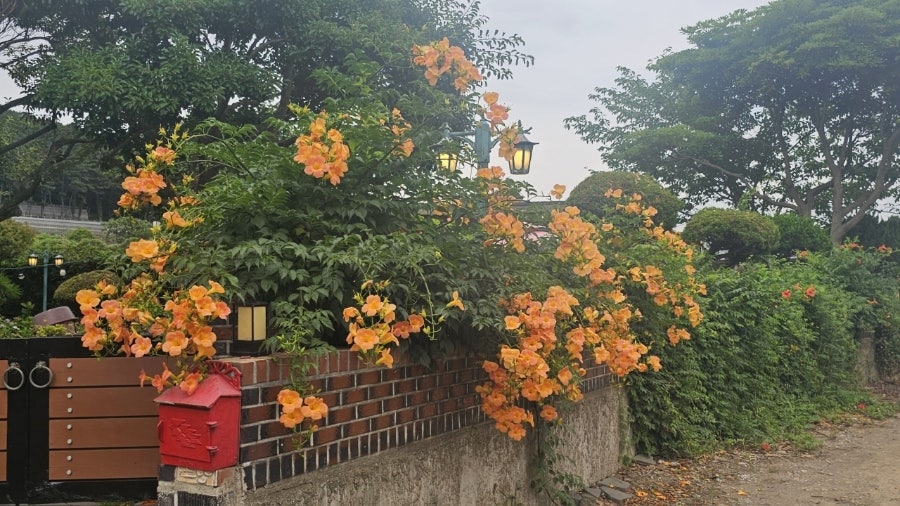 신의한근 사진 5