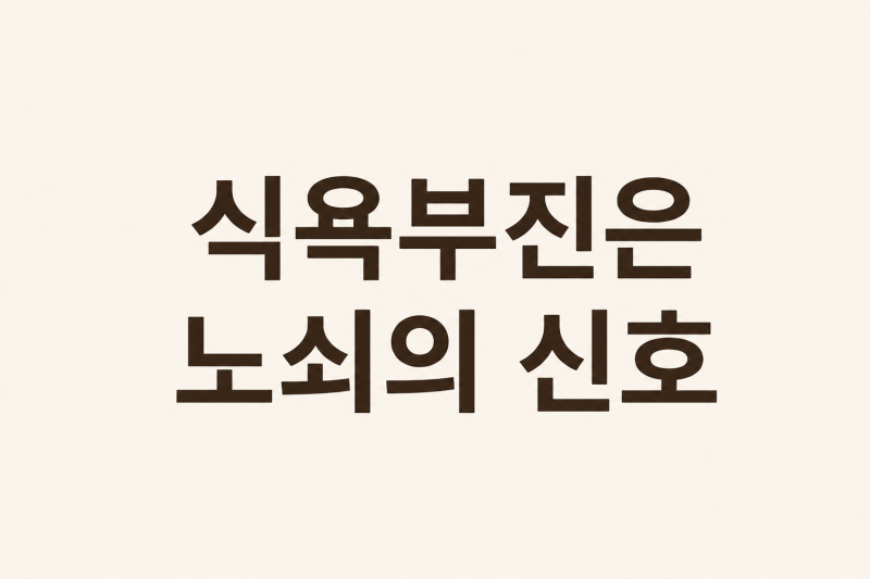 노인 식욕부진, 단순한 위장 문제가 아니라 노쇠의 신호일 수 있습니다