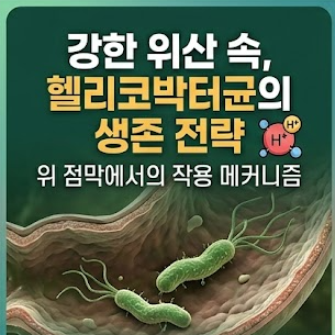 울산내과 - 헬리코박터균, 위산 속에서도 살아남는 세균｜위염부터 위궤양·위암까지 주의해....