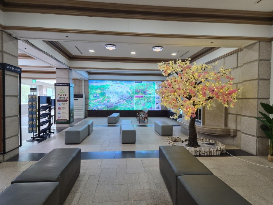 삼백식당 대관령점 사진 1