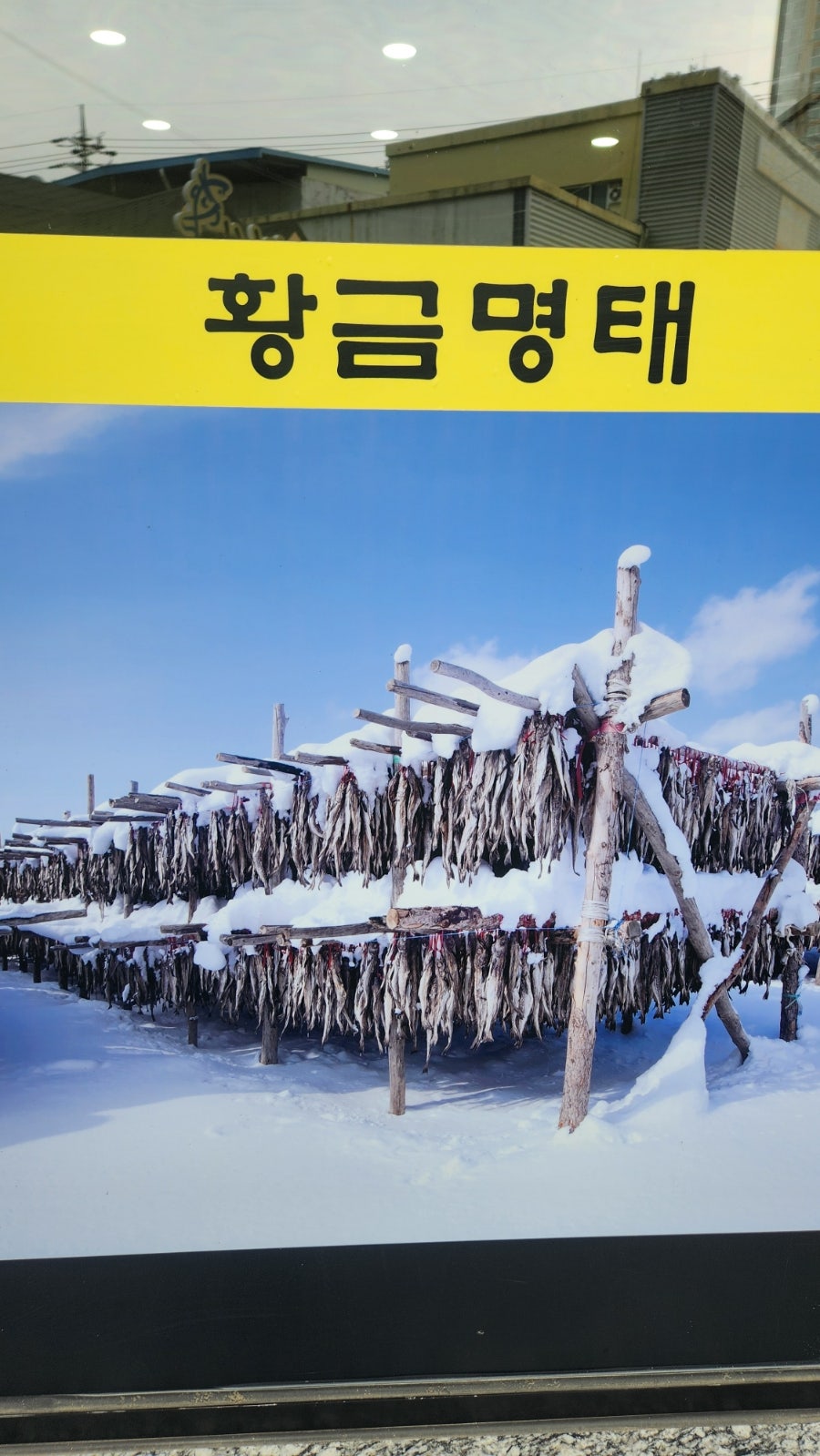 황금명태조리고 사진 3