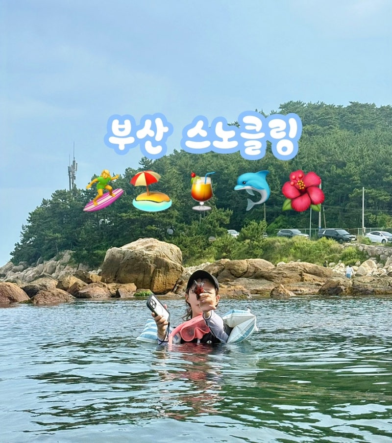 부산 물놀이 스노쿨링명소 해루질 포인트 기장해양정수센터