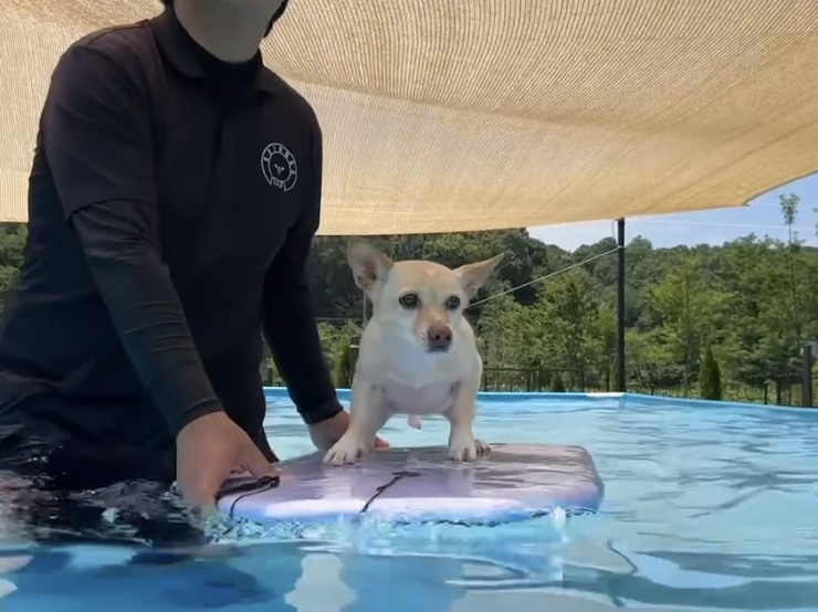 레인바우 세종연서점 사진 3