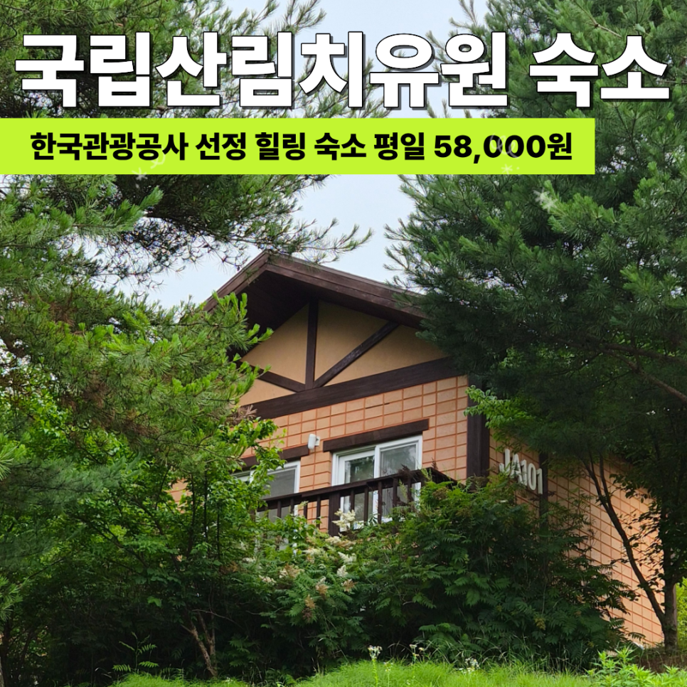 국립산림치유원 주치마을 JC103 사진