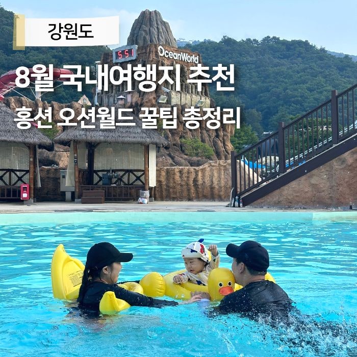 8월 국내여행지 추천 홍천 오션월드 20주년 입장권 할인 오션패스 꿀팁 비발디파크 개장 총정....