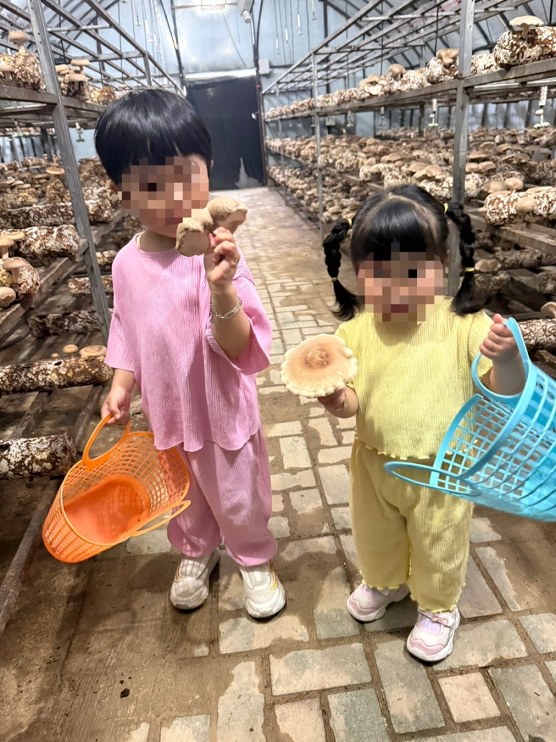 일산 동물먹이주기와 표고버섯따기 체험을 동시에!! * 찬우물 체험 동물농장 + 찬우물버섯농....