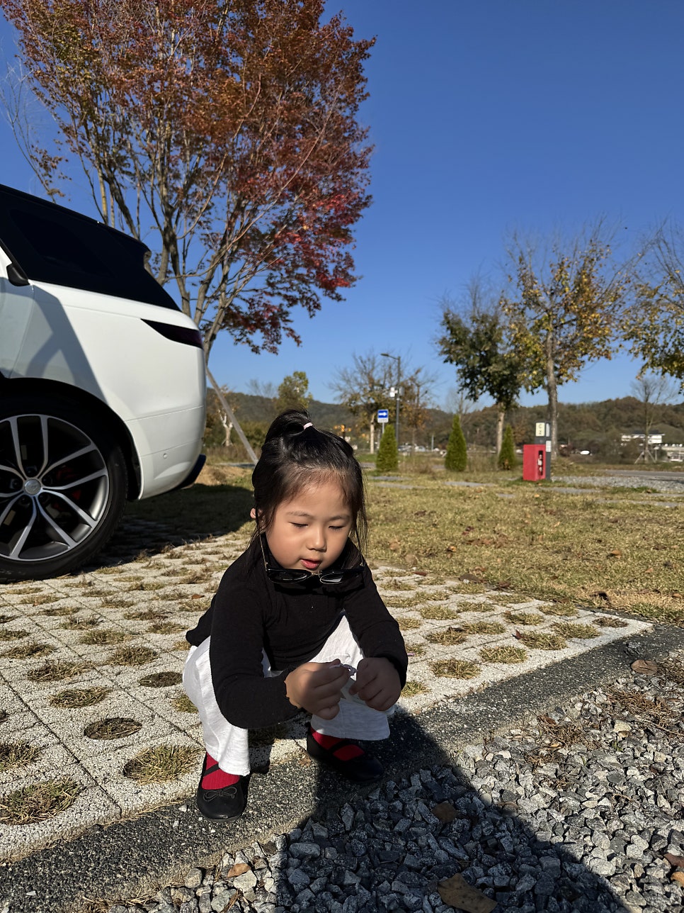 충주 목계솔밭캠핑장 사진 3