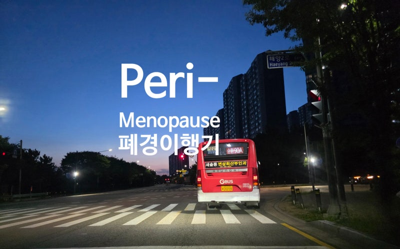 폐경이행기(Perimenopause) 완벽 가이드 - 폐경 전후 변화, 진단, 검사, 호르몬치료의 모든 것