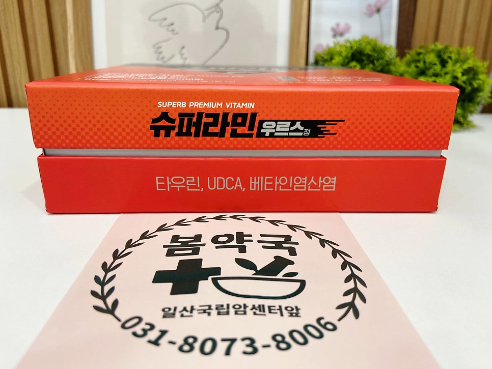 봄약국 사진 3