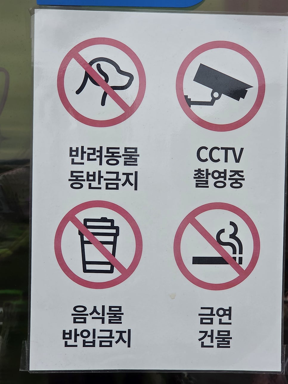 라데아 사진 2