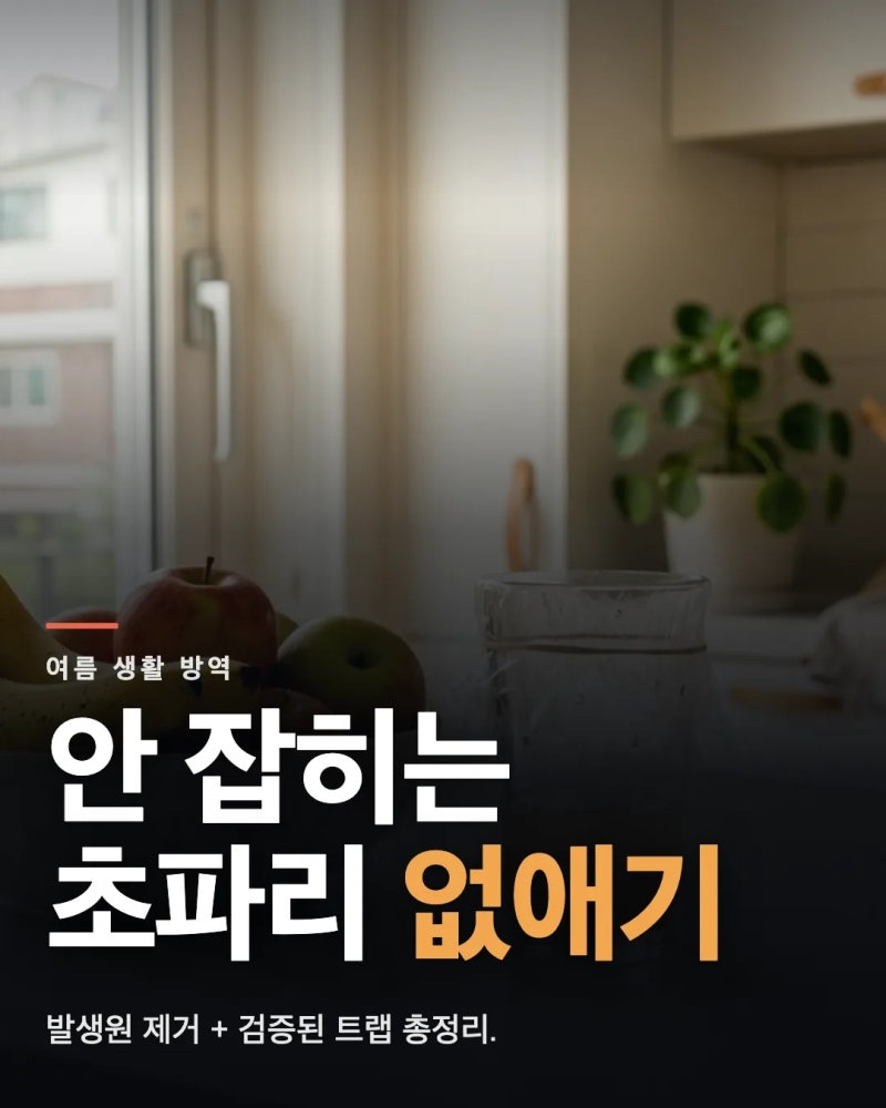 초파리 없애는법 핵심, 트랩 놔도 소용없는 진짜 이유