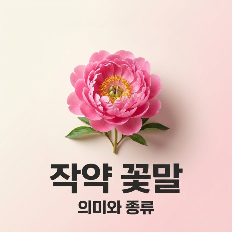 작약 꽃말 의미와 개화시기 선물하기 전 꼭 확인하세요