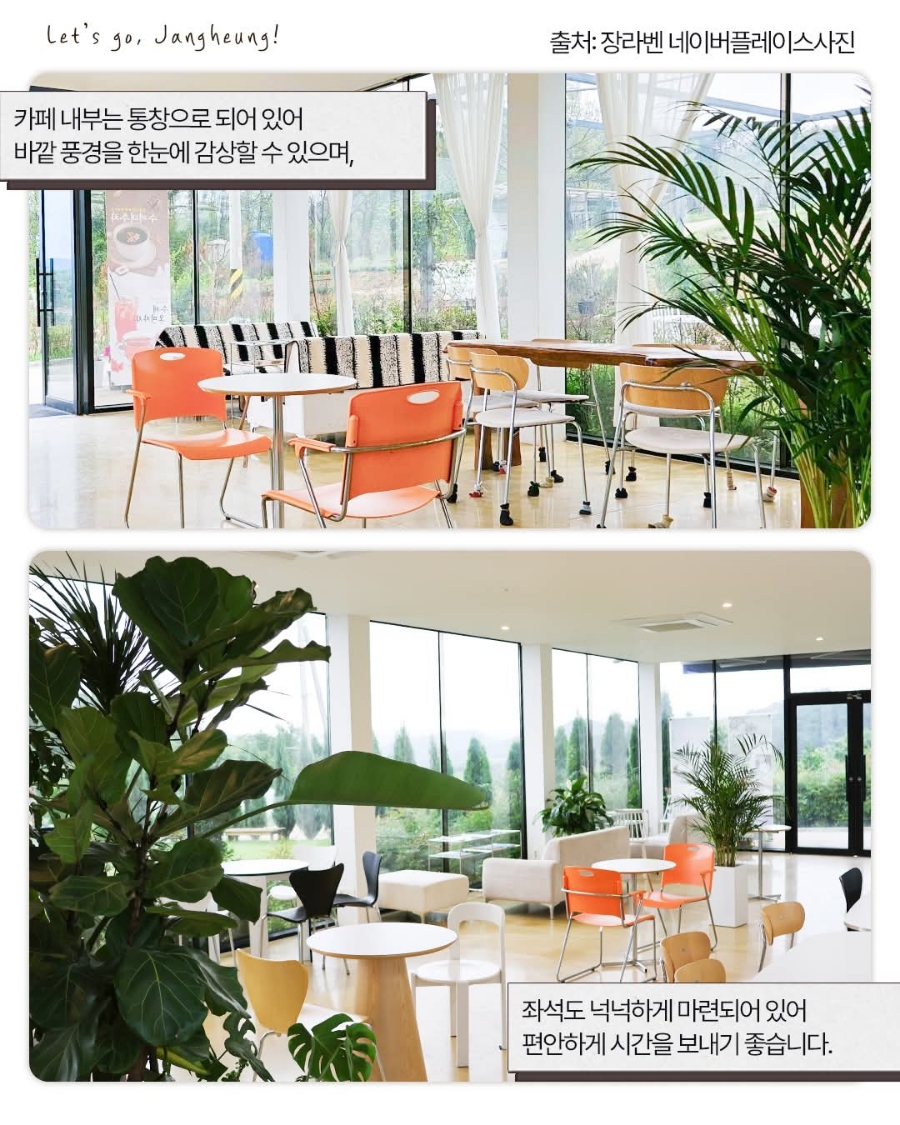 장라벤 사진 3