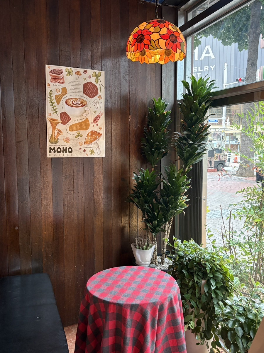 모호코히 사진 4