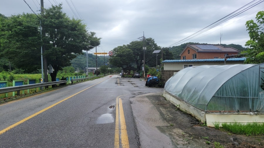 또바기 사진 2
