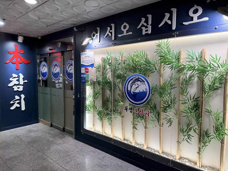 본참치 사진 3