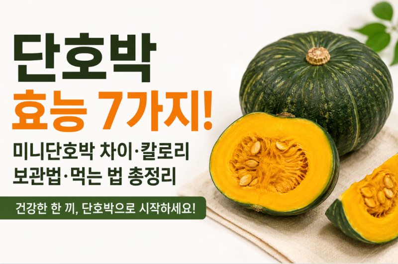 단호박 효능 7가지! 미니단호박 차이·칼로리·보관법·먹는 법 총정리