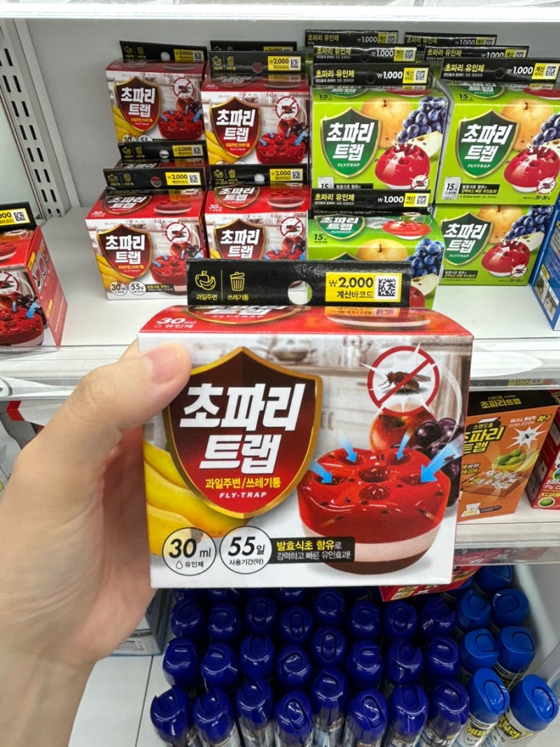 다이소 초파리 퇴치 아이템 추천 모음