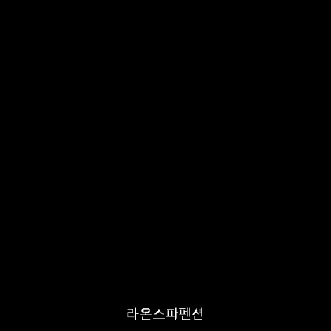 라온스파펜션 사진 6