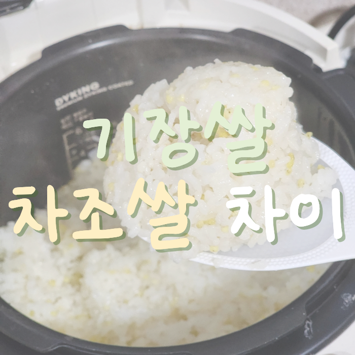 기장쌀과 조차이, 효능과 보관방법, 기장쌀 추천까지 꼼꼼한 후기