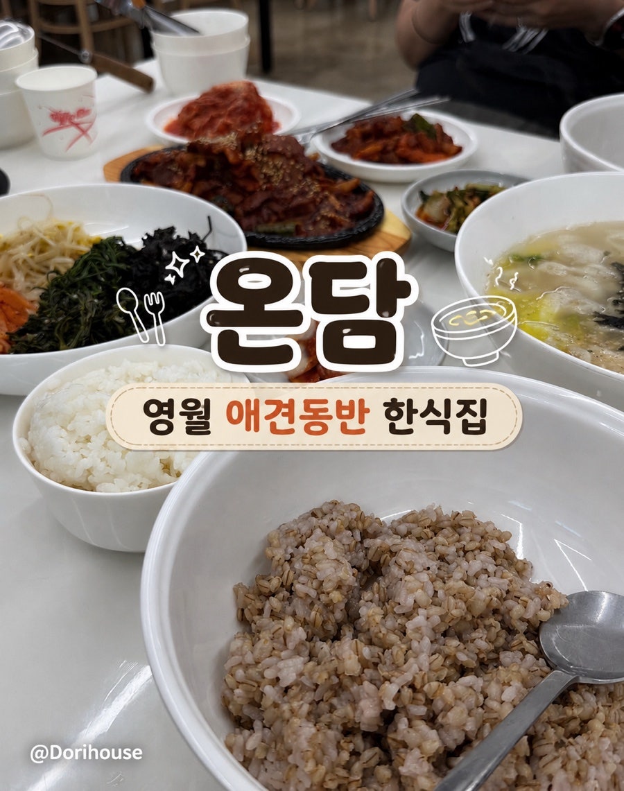 온담 사진 1