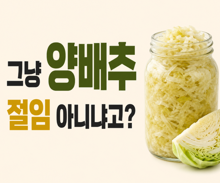 사워크라우트 속 유산균 종류와 발효 양배추 효능부터 생균 살려 먹는 실전 활용법