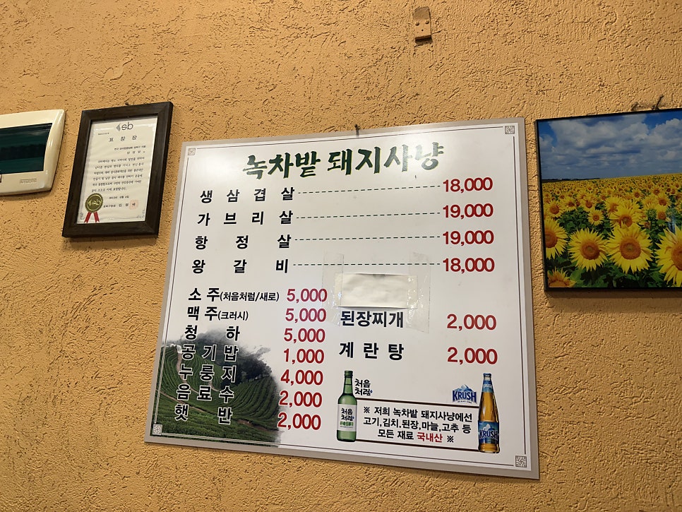 녹차밭돼지사냥 사진 6