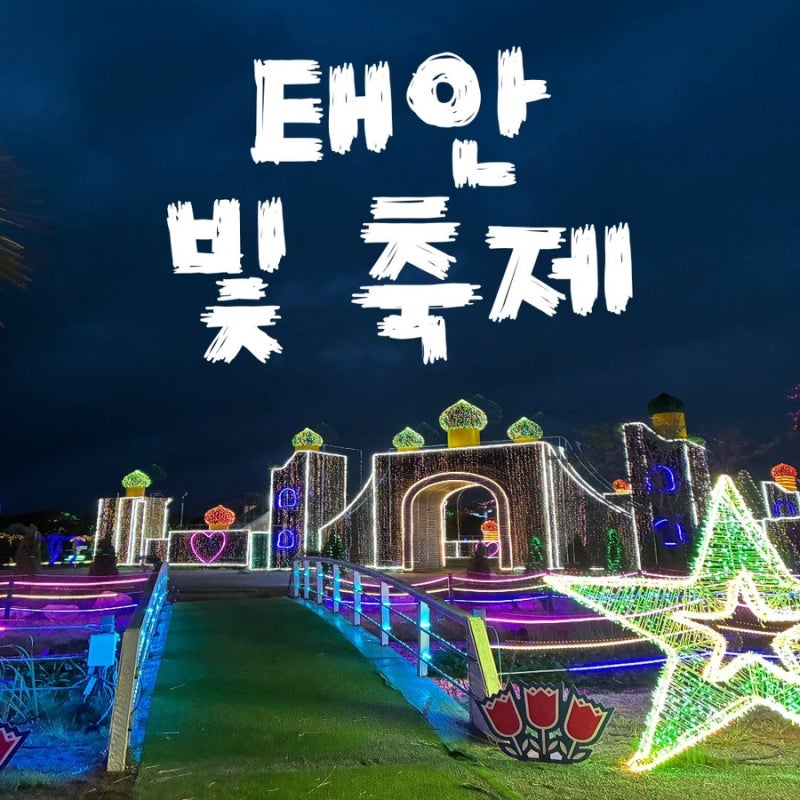 태안 빛축제 몇 시에 가야 할까? 직접 다녀온 입장 시간 추천 & 요금 정보